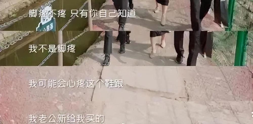 奇趣分分彩:“东北虎”秦海璐,被丈夫宠成了“萌虎”