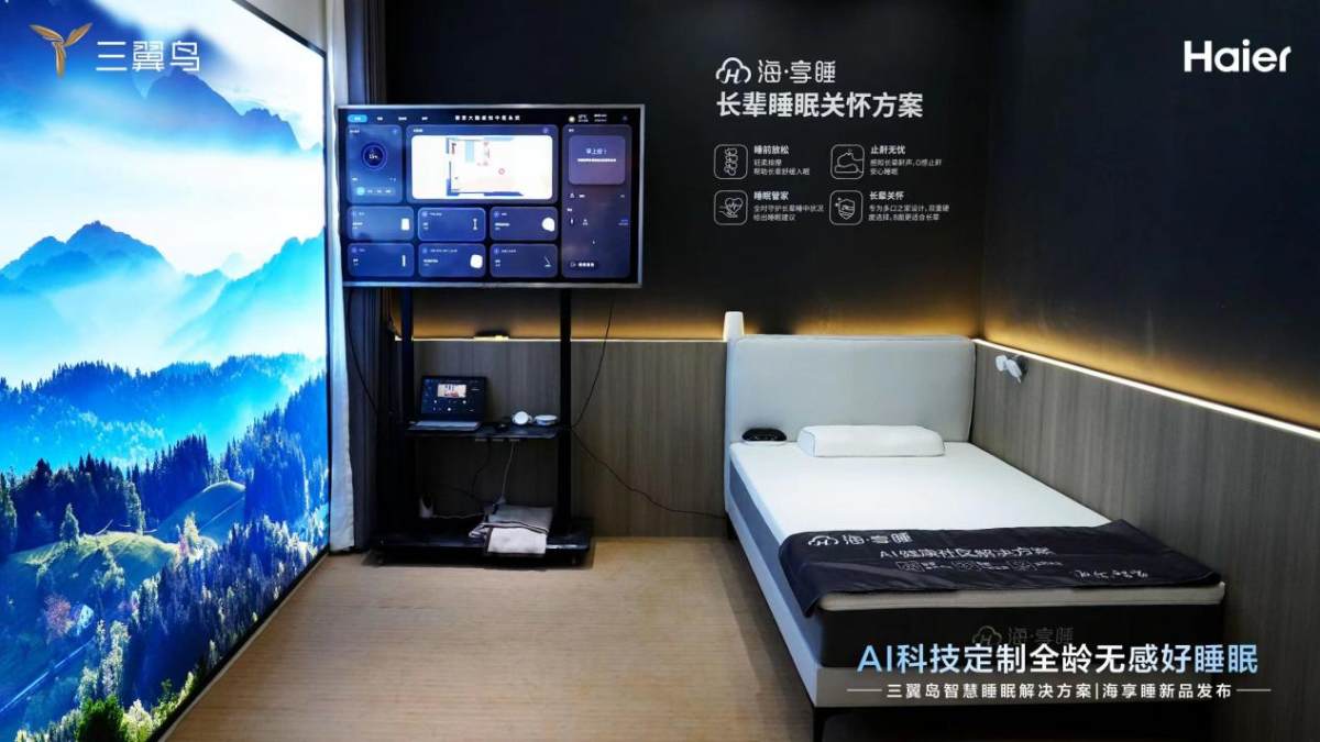 焦点娱乐官方：睡不着？三翼鸟：睡得好